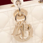 Christian Dior Small Lady D-Joy Bag